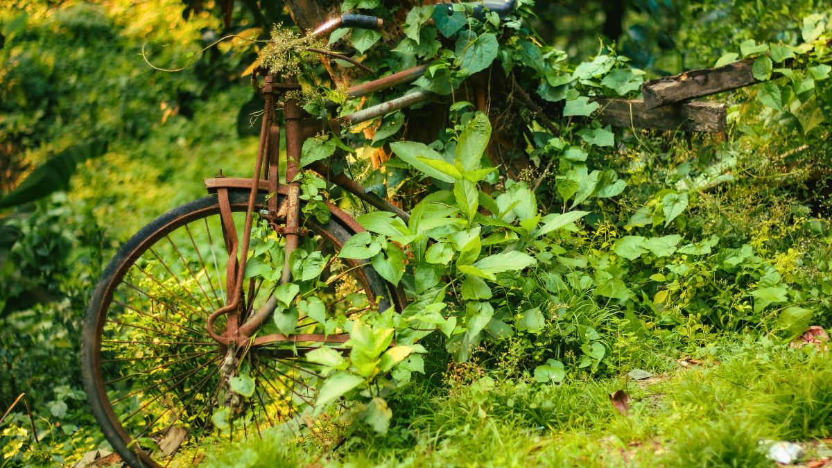 Adverse possession of registered land (UK): A complete guide