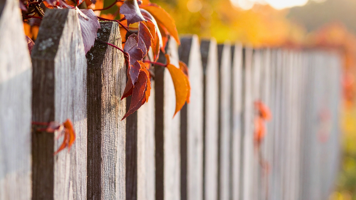 Property boundaries in England and Wales: A practical guide to your rights