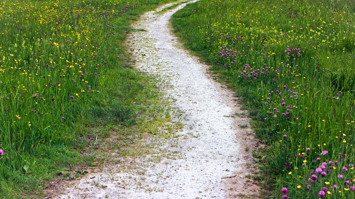 Prescriptive right of way: Can 20 years’ use create a legal right?
